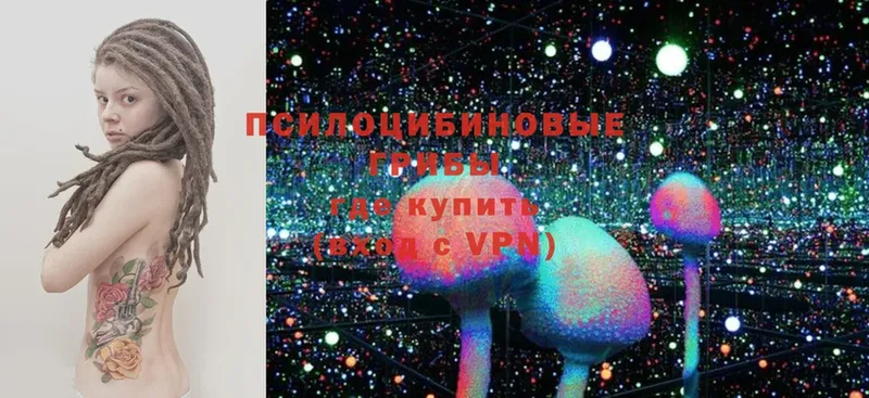 Псилоцибиновые грибы Magic Shrooms  Киренск 